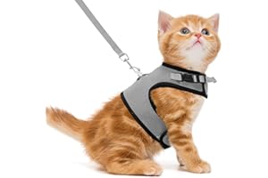PUPTECK Soft Mesh Cat Vest Harness and Leash Set Puppy Padded Pet Harnesses Escape Proof for Cats Small Dogs Rabbits Bunny, Grey S