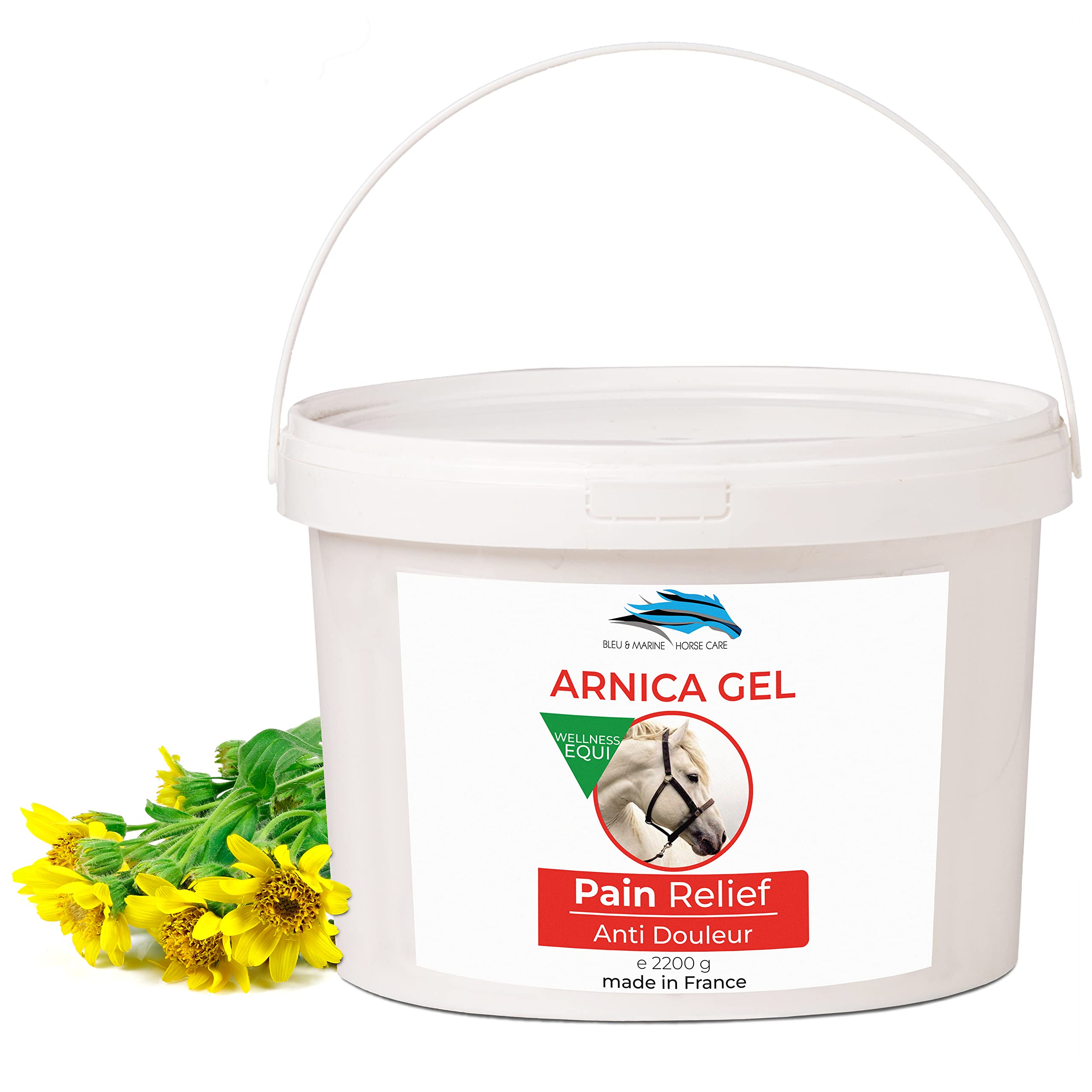 Vet 90% Arnica Gel Forte for Horses & Pet Care (Dogs, Cats) Muscle & Joint Pain Relief. Pure & Natural Arnica Balm for Bruises & Swelling of The Horse. Muscle Massage Gel 2200 g