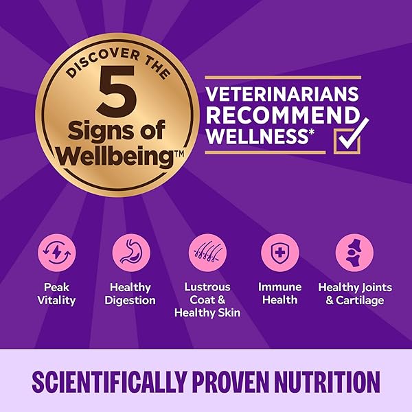 WELLNESS COMPLETE HEALTH GRAVY ADULT WET CAT FOOD, NATURAL, PROTEIN-RICH, GRAIN FREE, 3 OUNCE, 12 PACK, (TURKEY DINNER)