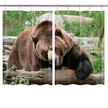 Amazon Com Brown Bear Kitchen Window Curtains Nature Wild Safari