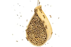 BLACK BUTTERFLY LLC Black Butterfly Hanging Bee House: Bamboo Mason Bee Hotel/Hive for The Garden - Attract Mason Bees and Other Helpful Pollinators - Bee Houses for Better Gardening - Hanging Bee Habitat for Nesting