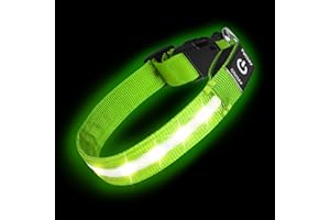 PETISAY Super Bright LED Dog Collar - Fully Waterproof & Adjustable Glow Collar - USB-C Rechargeable for Night Walking, Safety - Flashing Lighted Collar for Dogs(Green,L)