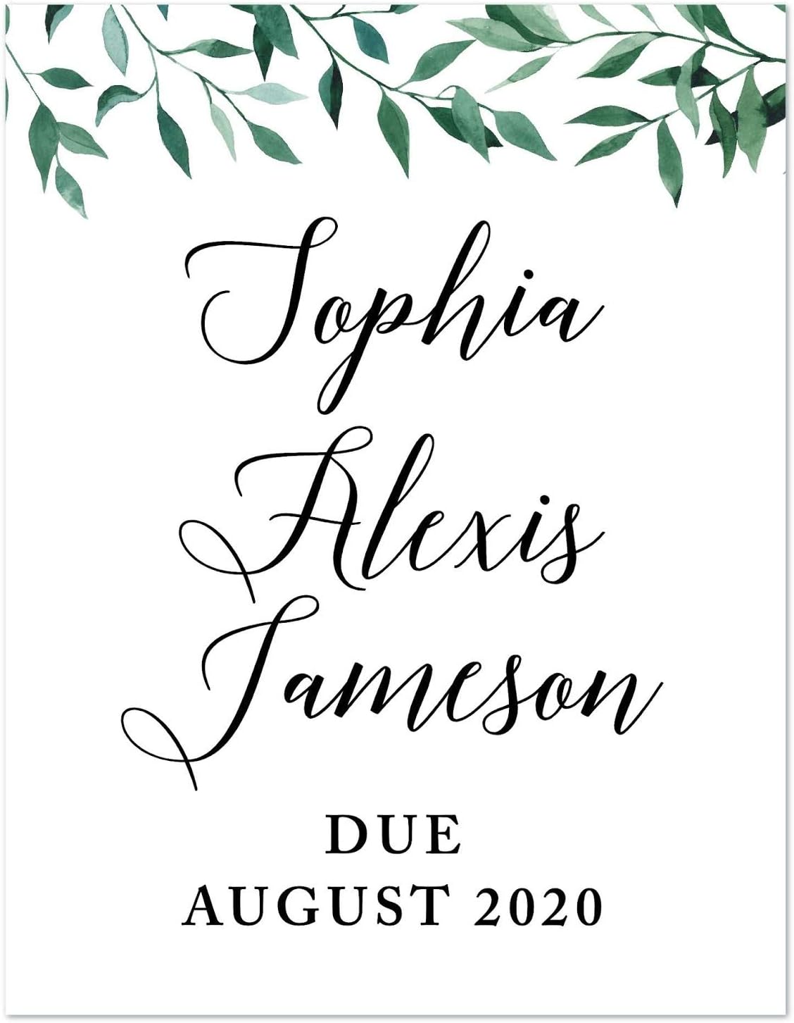 Andaz Press Personalized Baby Shower Party Signs, Natural Greenery Green Leaves, 8.5x11-inch, Sophia Alexis Jameson Due August 2023, 1-Pack, Custom Name