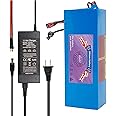 YAOYAOLIXI 48V 10Ah Lithium Battery Pack with 30A BMS | 200-1200W Ebike/Motorcycle/Scooter | Includes 2A Charger & T-Plug (48V 10Ah with Charger)