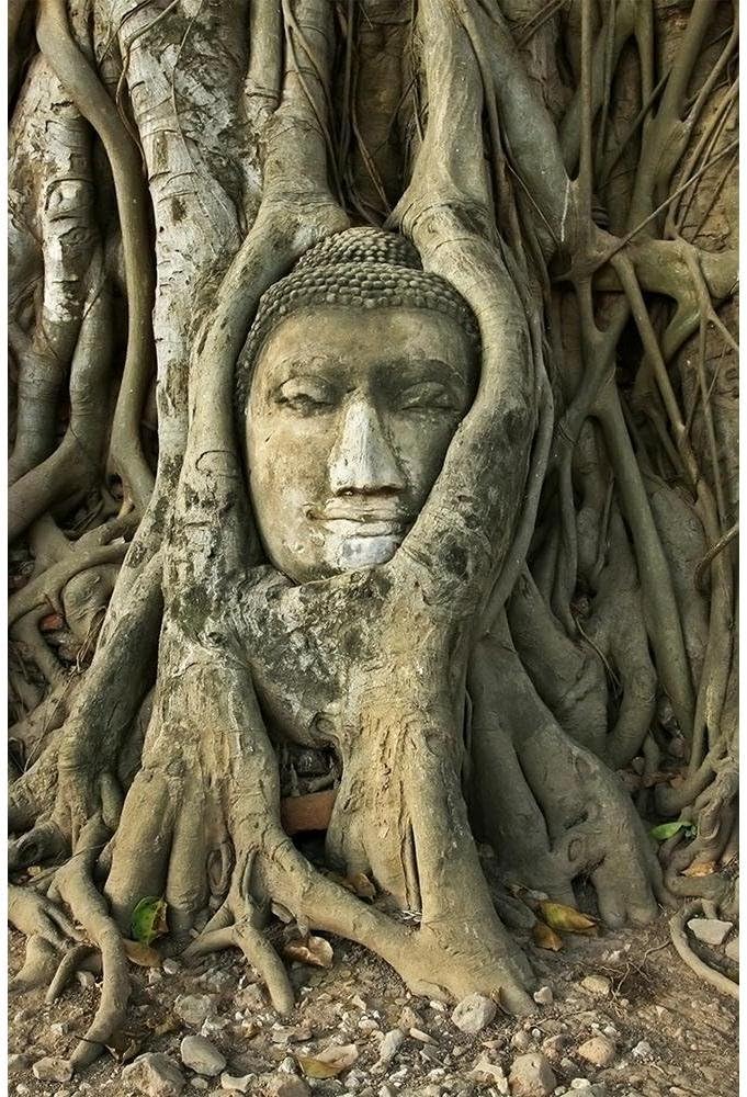 ArtzFolio Wat Mahathat Buddha Head In Tree Ayutthaya Unframed Paper Poster 12inch x 18inch (30.5cms x 45.7cms)