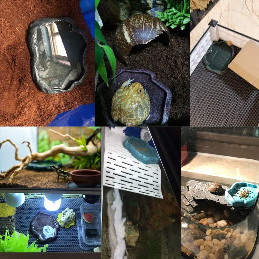 Reptile Feeding Bowl - Image 3