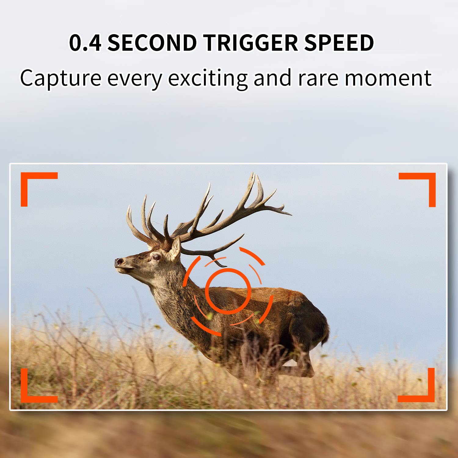 Outdoor Expert Trail Camera 20MP 1080P hunting Camera with 36pcs 850nm IR LEDs, Activated Night Vision 70ft PIR sense distance Digital Game Cam with LCD display for Wildlife Scouting and Home Security