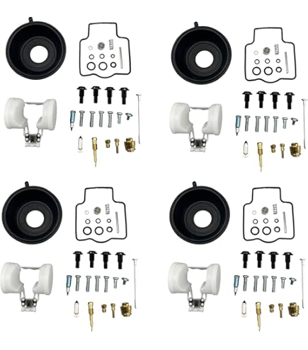 Amazon.com: All Balls Racing 26-1719 Carburetor Rebuild Kit