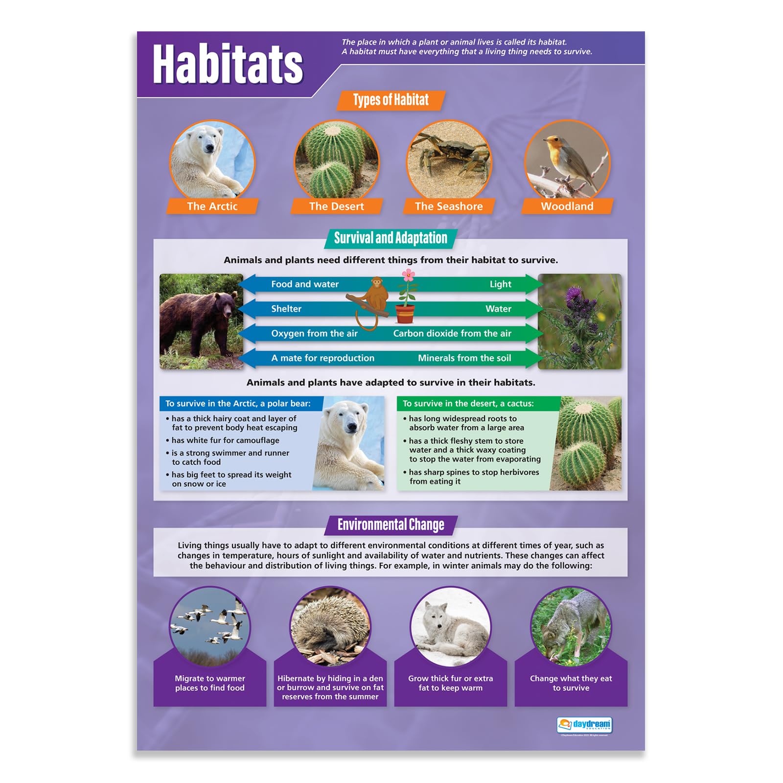 Daydream Education Habitats | Science Posters | Laminated Gloss Paper measuring 850mm x 594mm (A1) | Science Charts for the Classroom | Education Charts