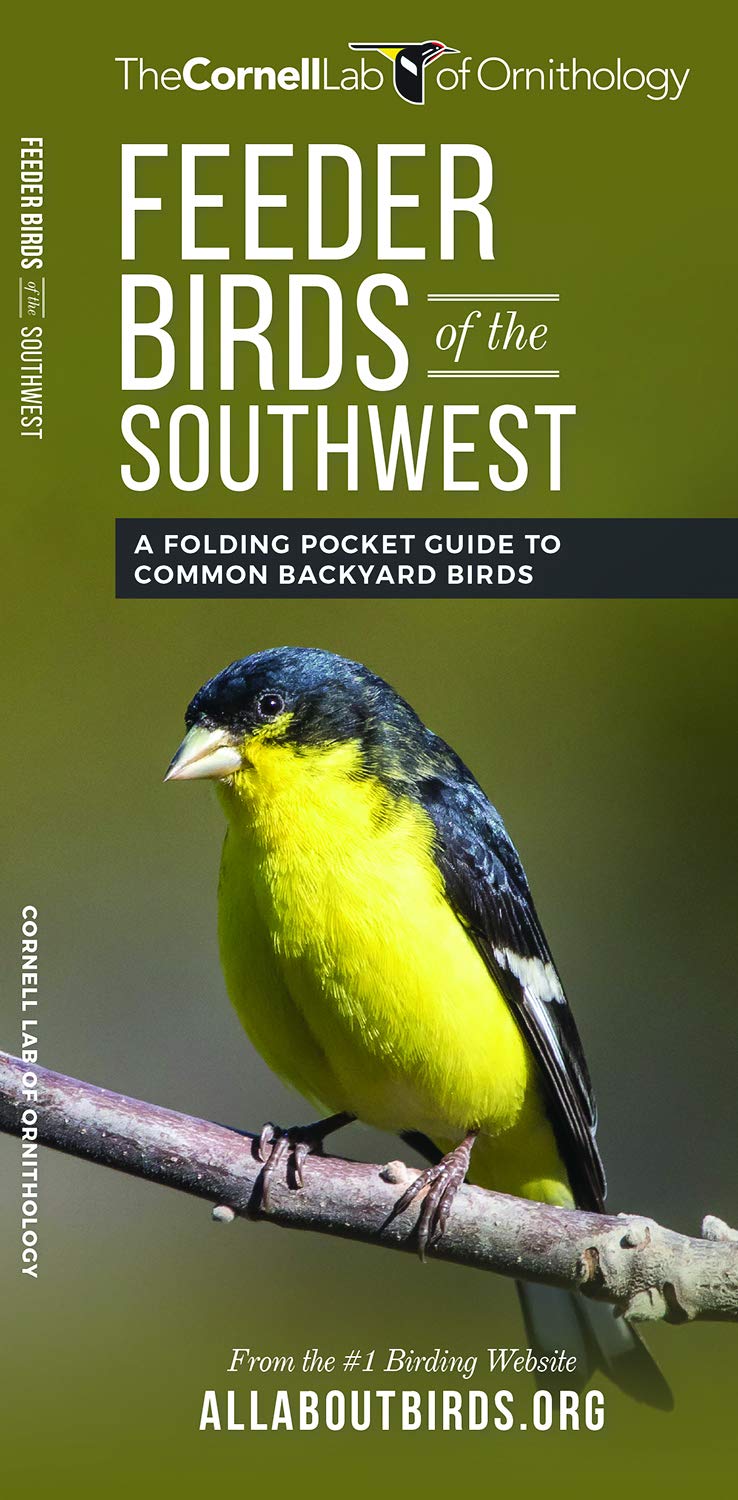 Feeder Birds Of The Southwest A Folding Pocket Guide To Common