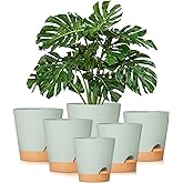 GARDIFE Plant Pots 8/7/6.5/6/5.5/5 Inch Self Watering Planters with Drainage Hole, Plastic Flower Pots, Nursery Planting Pot for All House Plants, African Violet, Flowers, and Cactus,Green