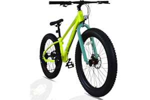 CYBIC Fat Tire Mountain Bike, 24/26 inch for Teen/Adult Men Women Cycling, 7/21 Speeds, High Carbon Steel Frame, Suspension Fork, Dual Disc Brakes, Vibrant Colors, Great Gift for Boys/Girls.