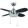 Litex 16906 MLV36BNK4L Maksim Collection 36-Inch Ceiling Fan with Five Wench Wood Blades and Single LED Light Kit with Opal Frosted Glass, Brushed Nickel
