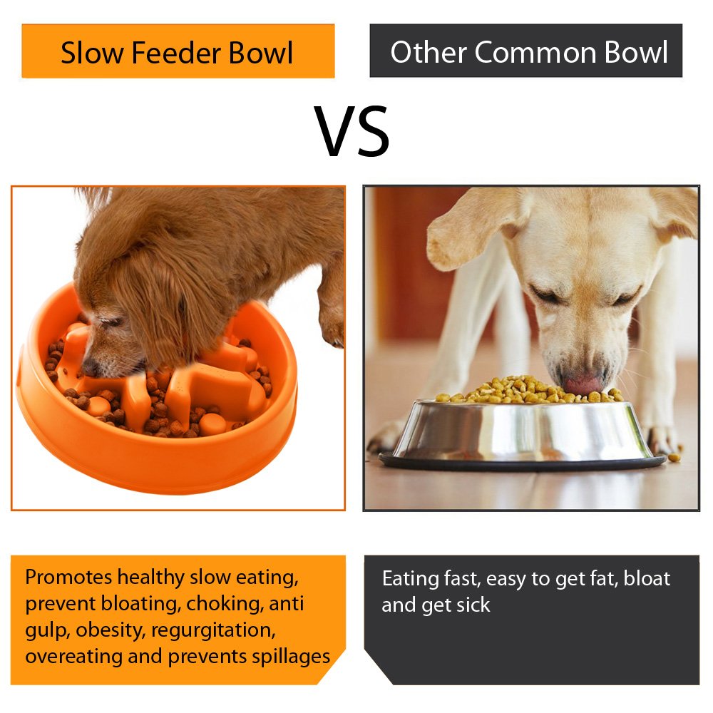homemade slow feeder dog bowl