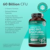 Nutravita Probiotics 60 Billion CFU 21 Strain Complex UK Made 60 Vegan Caps view 2