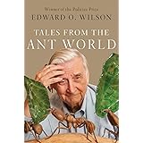 Tales from the Ant World