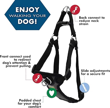 great dane dog origin