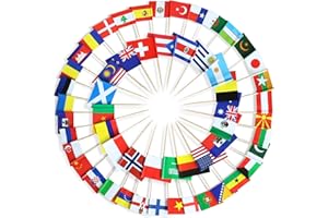 Anley Assorted 100 Different Countries Toothpick Flag - Vivid Double Sided Print & Solid Smooth Pick - Party Decoration Cocktail Fruit Stick Cupcakes Toppers(100 pcs)