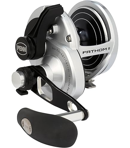 Amazon.com : Fathom II Lever Drag 2 Speed - 15XNLD2LH RL BX