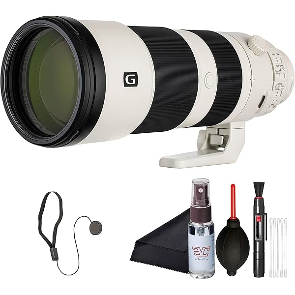 Amazon.com : Sony FE 200–600mm F5.6–6.3 G OSS Super-Telephoto Zoom