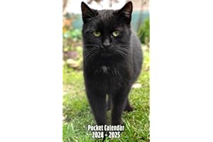 Pocket Calendar 2024-2025 - Black Cat | 24 months January 2024 - December 2025 | Monthly Planer Organizer For Purse | Small P