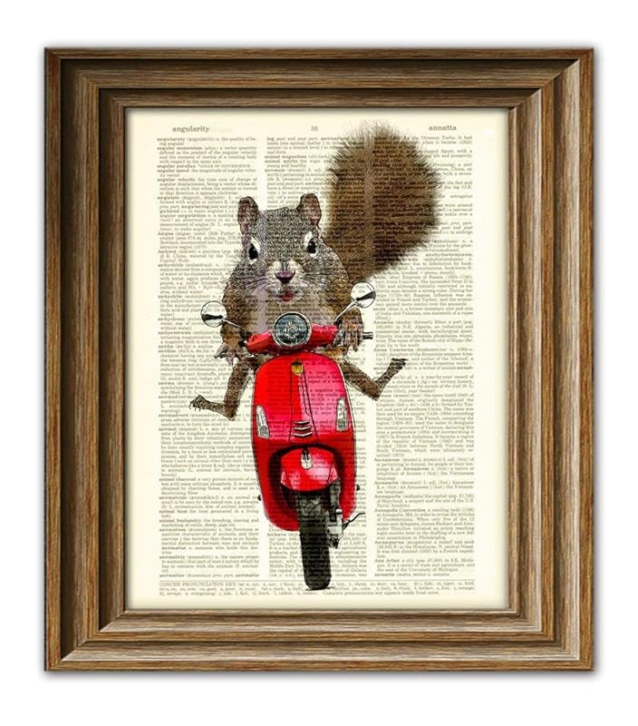 Amazon Scooter The Squirrel Goes For A Moped Ride Art Print Dictionary Page Book Art Print 