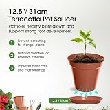 Whitefurze G04126 Garden Pot Saucer for 31cm Pot Terracotta view 2