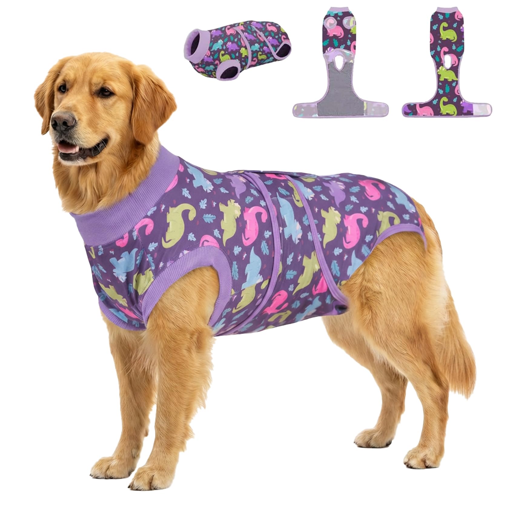 PetWarm Post Surgery Dog Onesie Male, Pajamas for Dogs, Substitute E-Collar and Cone, Dog Surgery Recovery Suit, Anti-Licking Pet Soft Recovery Suit, Dinosaur Pattern, Purple, 2XL
