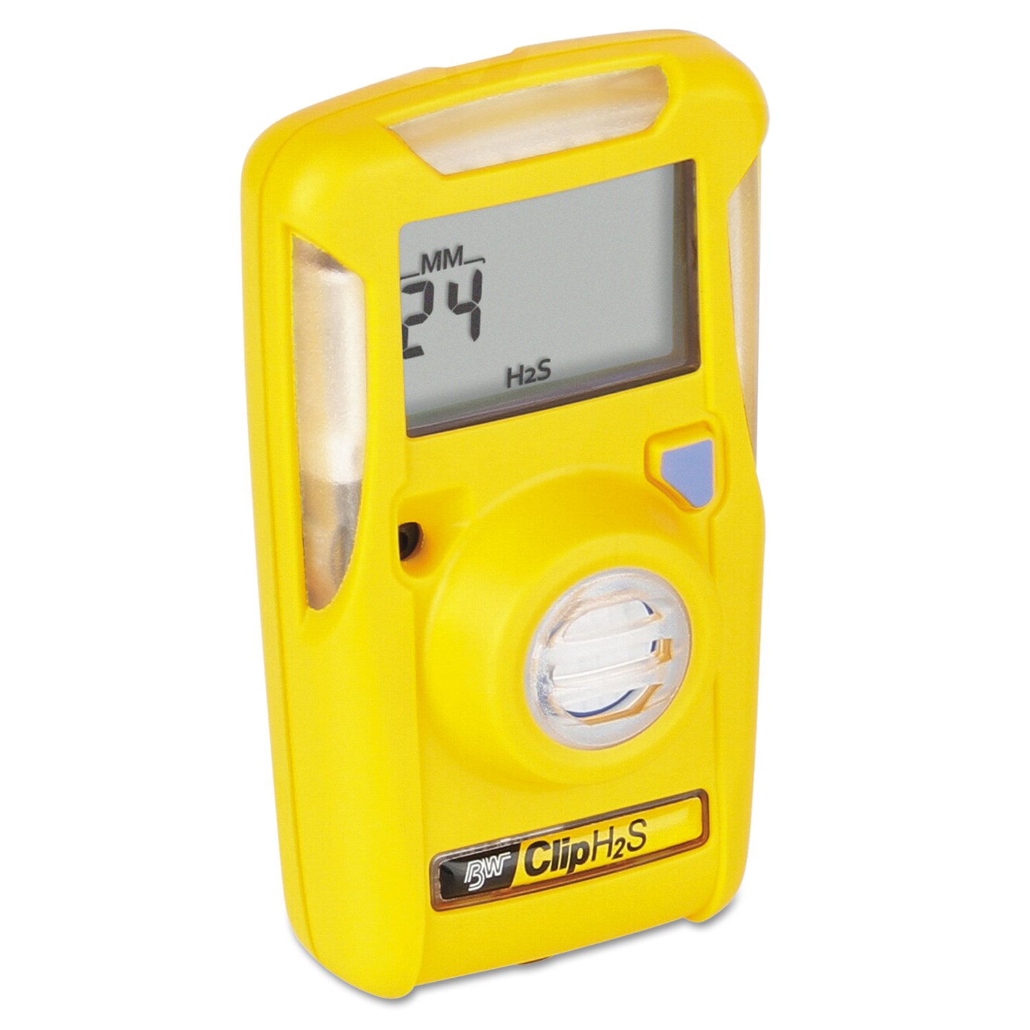 Brand: BW Technologies