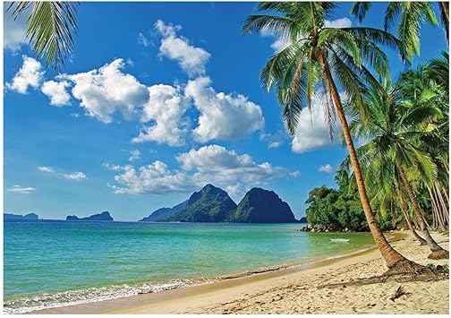 Amazon Com Funnytree 7x5ft Summer Tropical Beach Backdrop Seaside Island Palm Trees Photography Background For Picture Blue Sea Sky Sunshine Luau Themed Party Decorations Photo Booth Studio Props Camera Photo