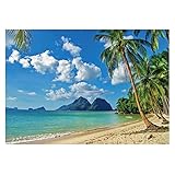 Funnytree 7x5ft Summer Tropical Beach Backdrop