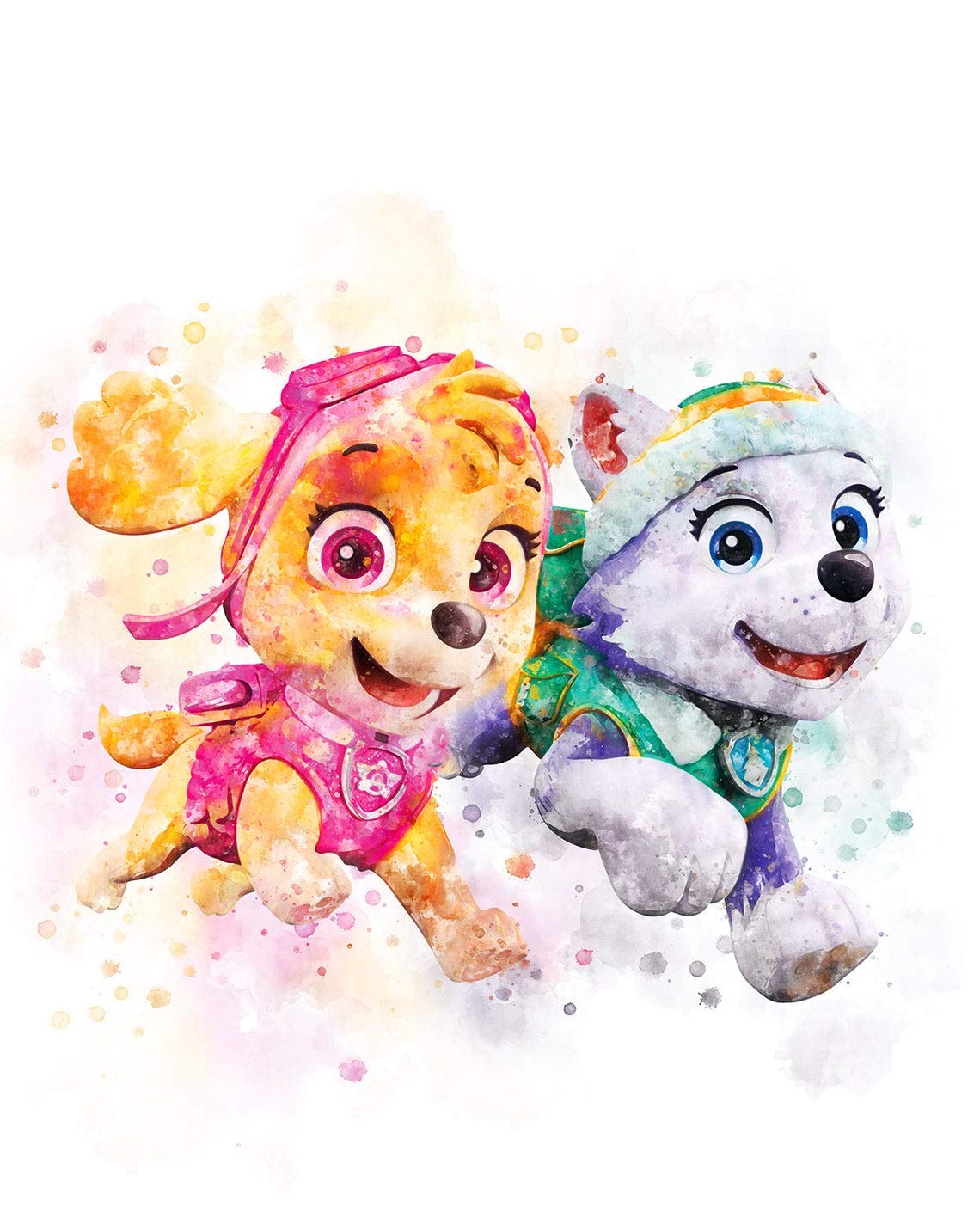 paw patrol skye & everest