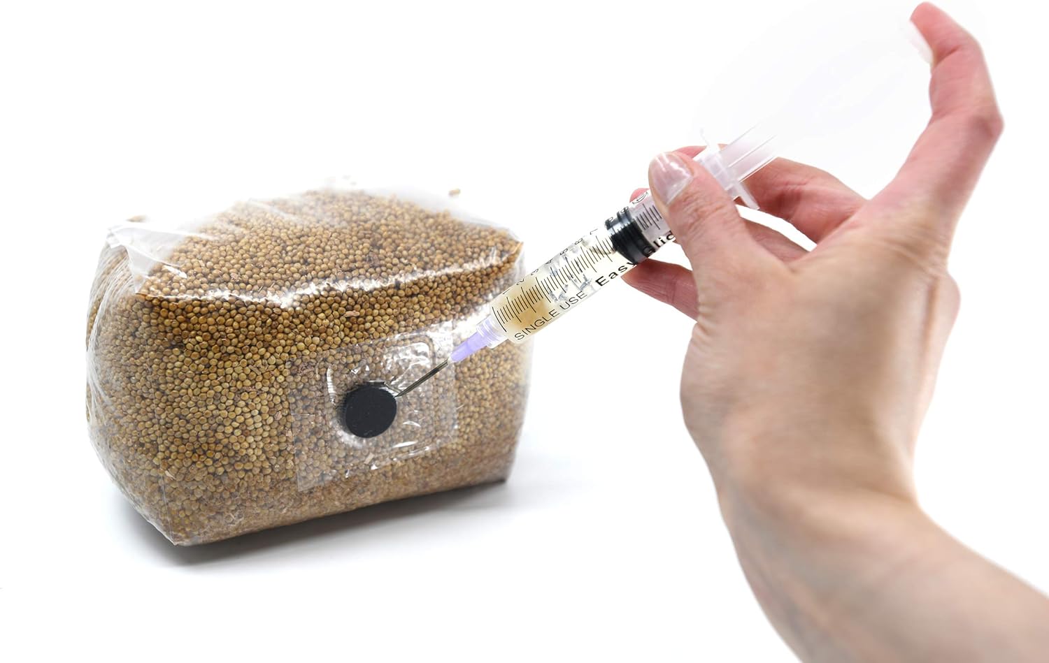 North Spore Sterilized Grain Bag with Injection Port (3lbs) HomeMade