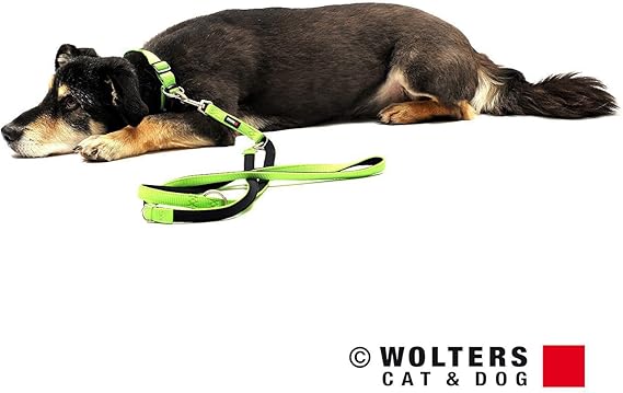 adopt a puppy stuffed animals