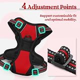 rabbitgoo Small Dog Harness No Pull Reflective Front Back Leash Clips Red XS view 5