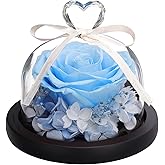 ANLUNOB Preserved Rose Flowers in Glass Dome with Love Charm Anniversary Birthday Valentine's Day Gift for Women Mom Her