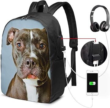pitbull backpack