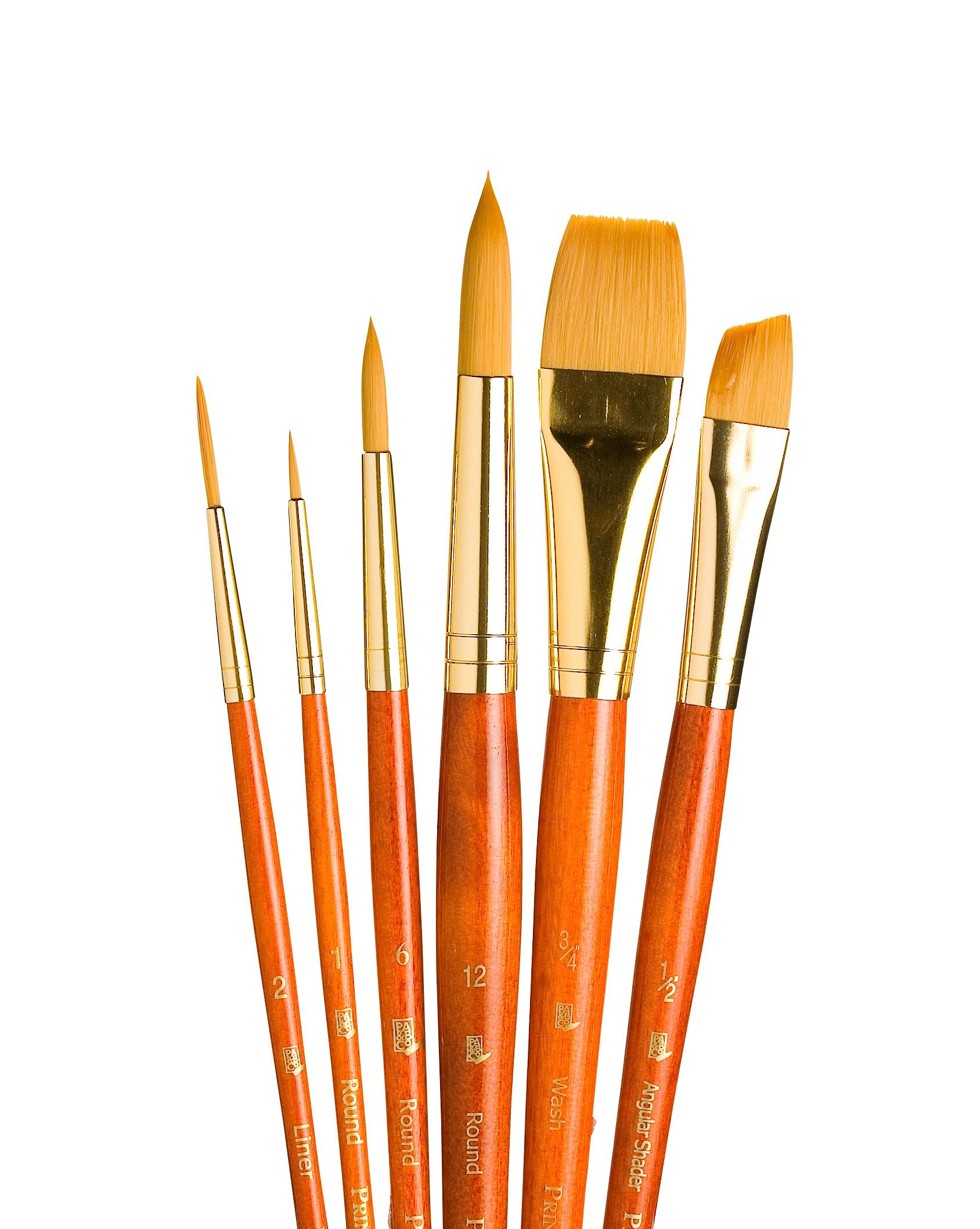 Princeton Art & Brush Synthetic Gold Taklon Real Value Brush Set-6 kg,Transparent