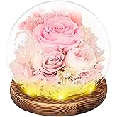 Preserved Real Rose Forever Flowers in Glass Dome with Led Light Unique Gifts for Her Mom Grandma Wife Girlfriend Birthday Valentines Mother’s Day Thanksgiving Christmas (Pink)