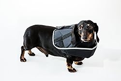 All Four Paws Comfy Cone Pet Cone for