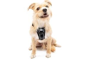 Kurgo Dog Harness | Pet Walking Harness | Small | Black | No Pull Harness Front Clip Feature for Training Included | Car Seat Belt | Tru-Fit Quick Release Style
