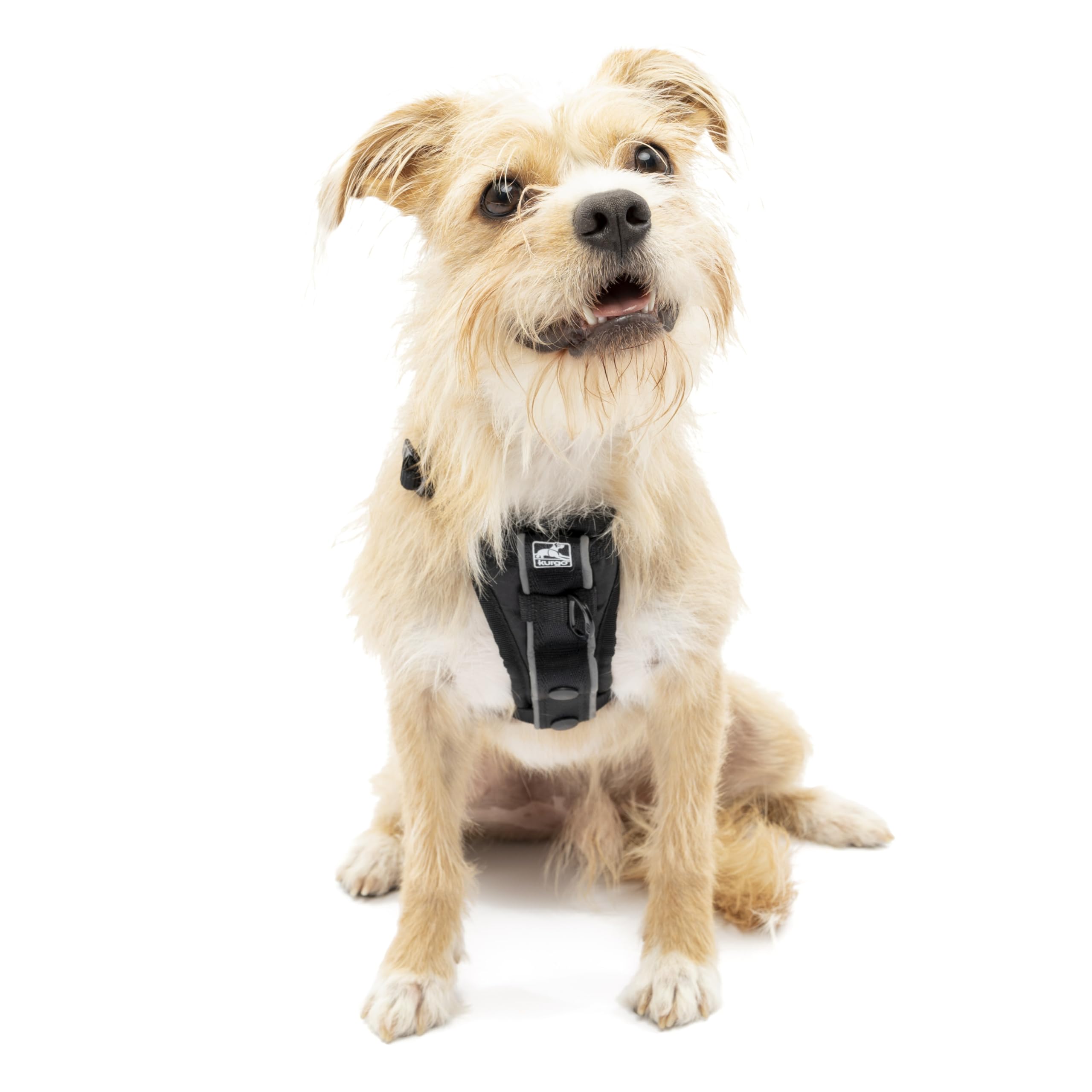 Kurgo Tru-Fit Smart Dog Walking Harness - Comfortable Fit - Adjustable Harness - Reflective Pet Wear - Quick Strap Release - Daily Walk Accessory - Includes Seat Belt Loop - Black - Small