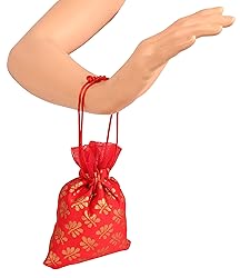 Touchstone Gorgeous Gift Wrapping bags reusable