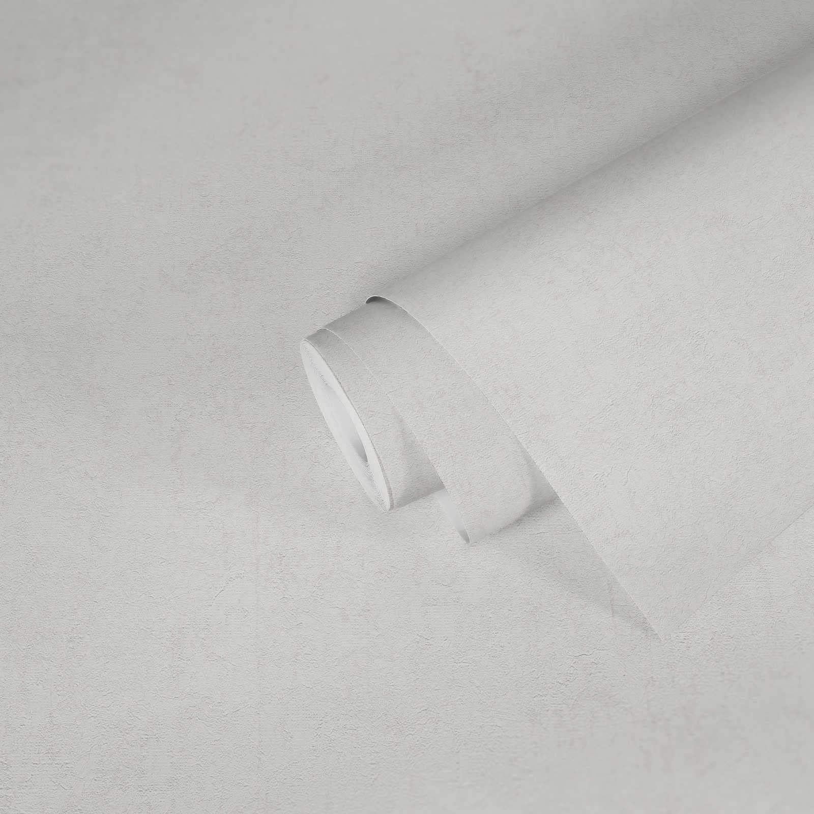 A.S. Création Concrete Wallpaper Greyvolution Non-Woven 10.05 m x 0.53 m White Made in Germany 378405 37840-5