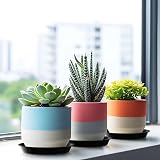 Kunjocy 5 Pack Black Plant Pot Saucers 11 cm Round Trays Up to 8 cm Pots view 5
