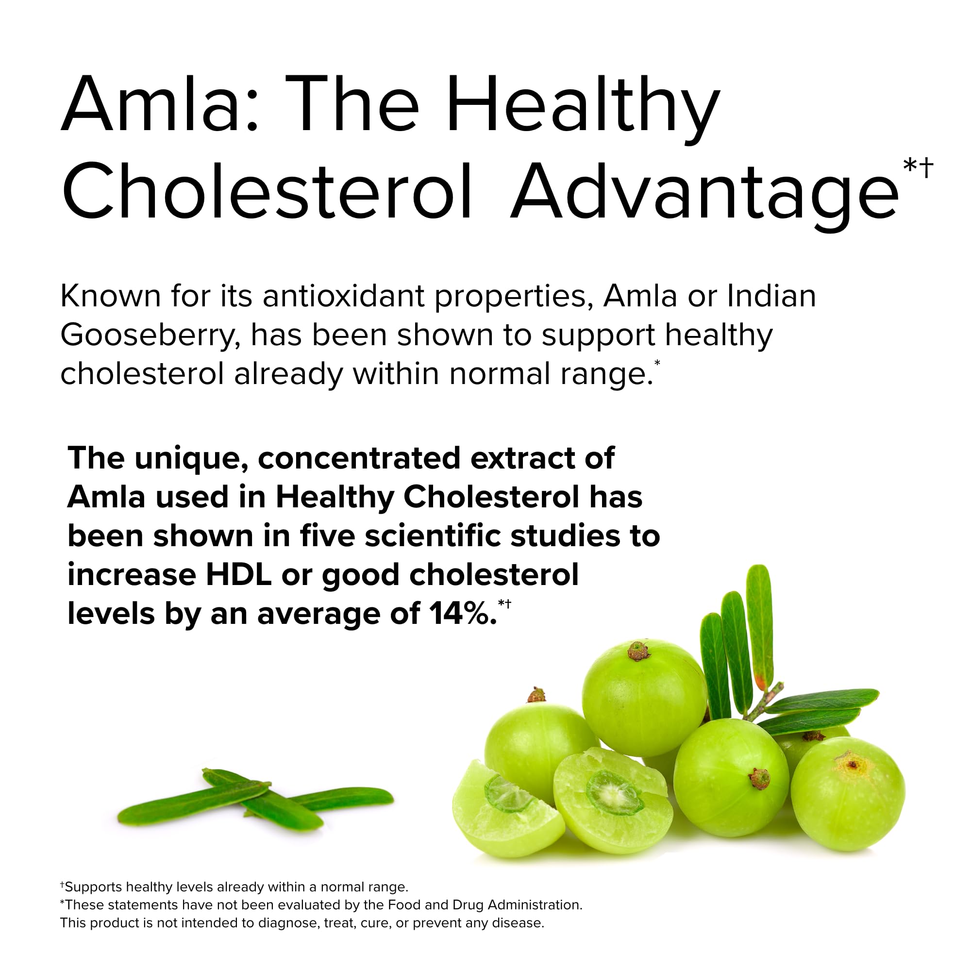 Terry Naturally Healthy Cholesterol with Amla - Antioxidant Supplement for Immune & Heart Support - Supplement to Aid Healthy Cholesterol & Triglyceride - 60 Capsules