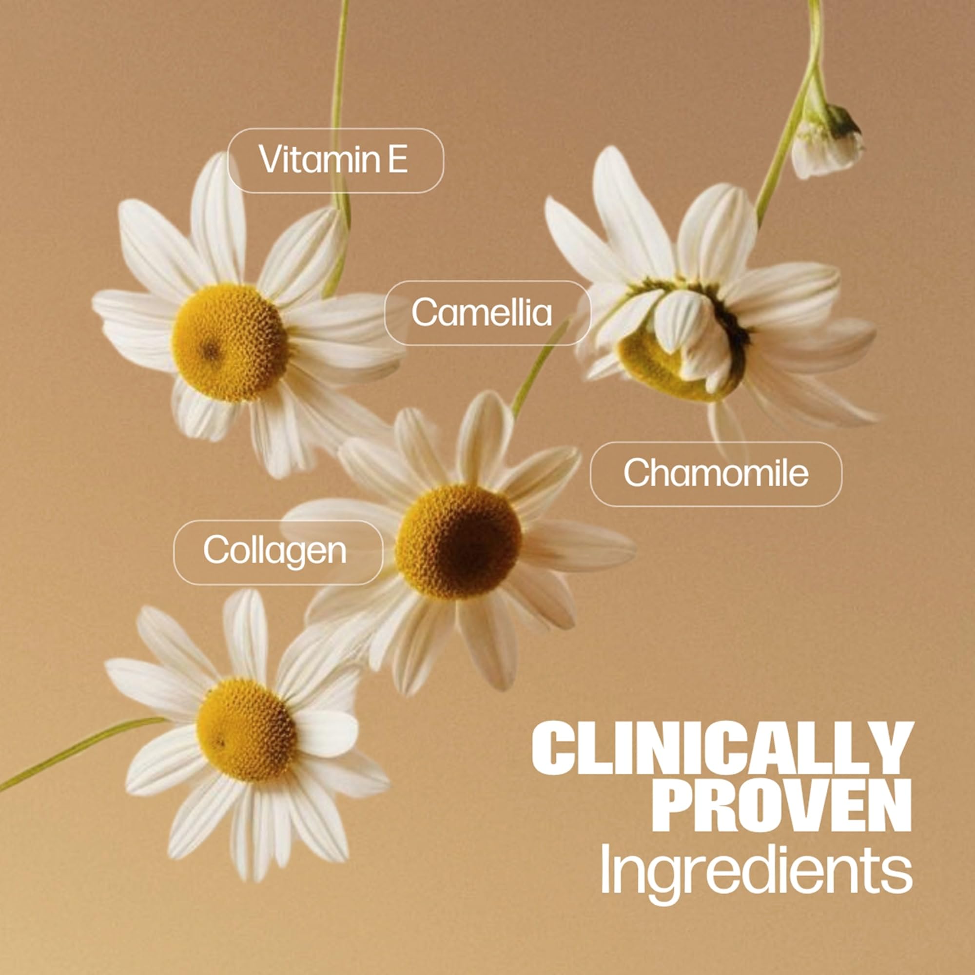 Medicine Mama's Apothecary Vmagic Gentle Feminine Wash pH Balanced to Cleanse and Rejuvenate Intimate Skin with Chamomile, Collagen, Vitamin E and Sage – Hormone Free — 8 oz