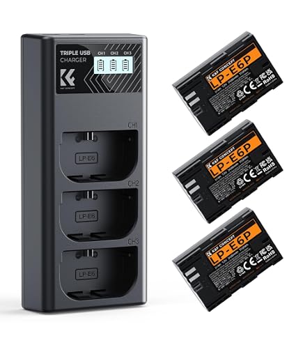 Amazon.com: Ritz Gear 512GB High-Speed CFexpress Type B SD Card
