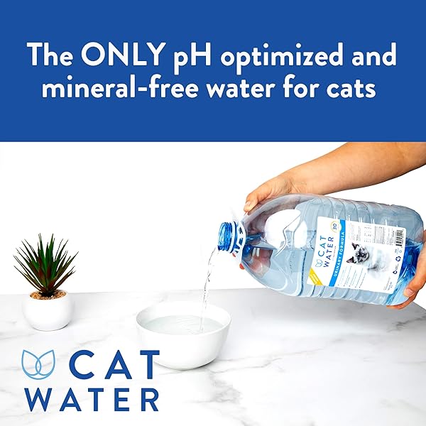 CATWATER BY VETWATER | PH-BALANCED AND MINERAL-FREE CAT WATER | CLINICALLY PROVEN URINARY FORMULA | HELPS PREVENT CAT URINARY ISSUES, FLUTD | 135.2 OZ, 2-PK, CLEAR (CW60101-2)