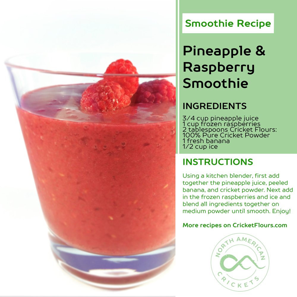 Cricket Flour: Pure Cricket Powder 1 Lb (Made From Real Edible Insects ...